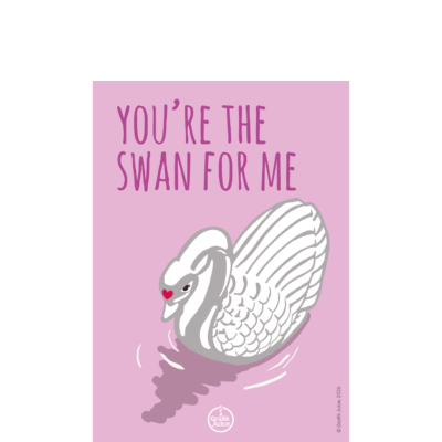 Postkort Swan for me